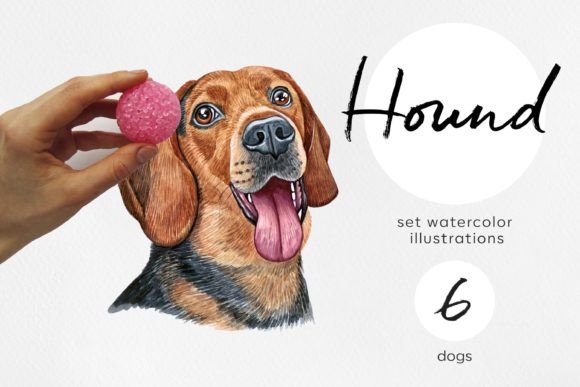Hound Dogs. Watercolor 6 Illustrations: A Practical Review of Versatile Creative Assets